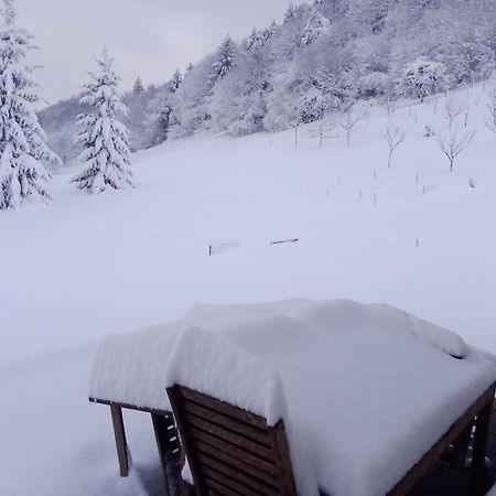 Apartmaji Borstner Vransko Екстериор снимка