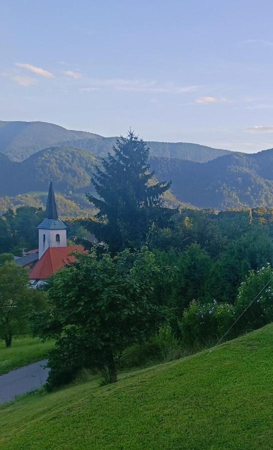 Apartmaji Borstner Vransko Екстериор снимка