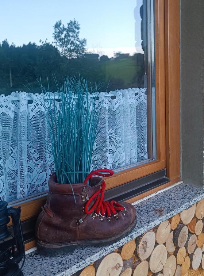 Apartmaji Borstner Vransko Екстериор снимка