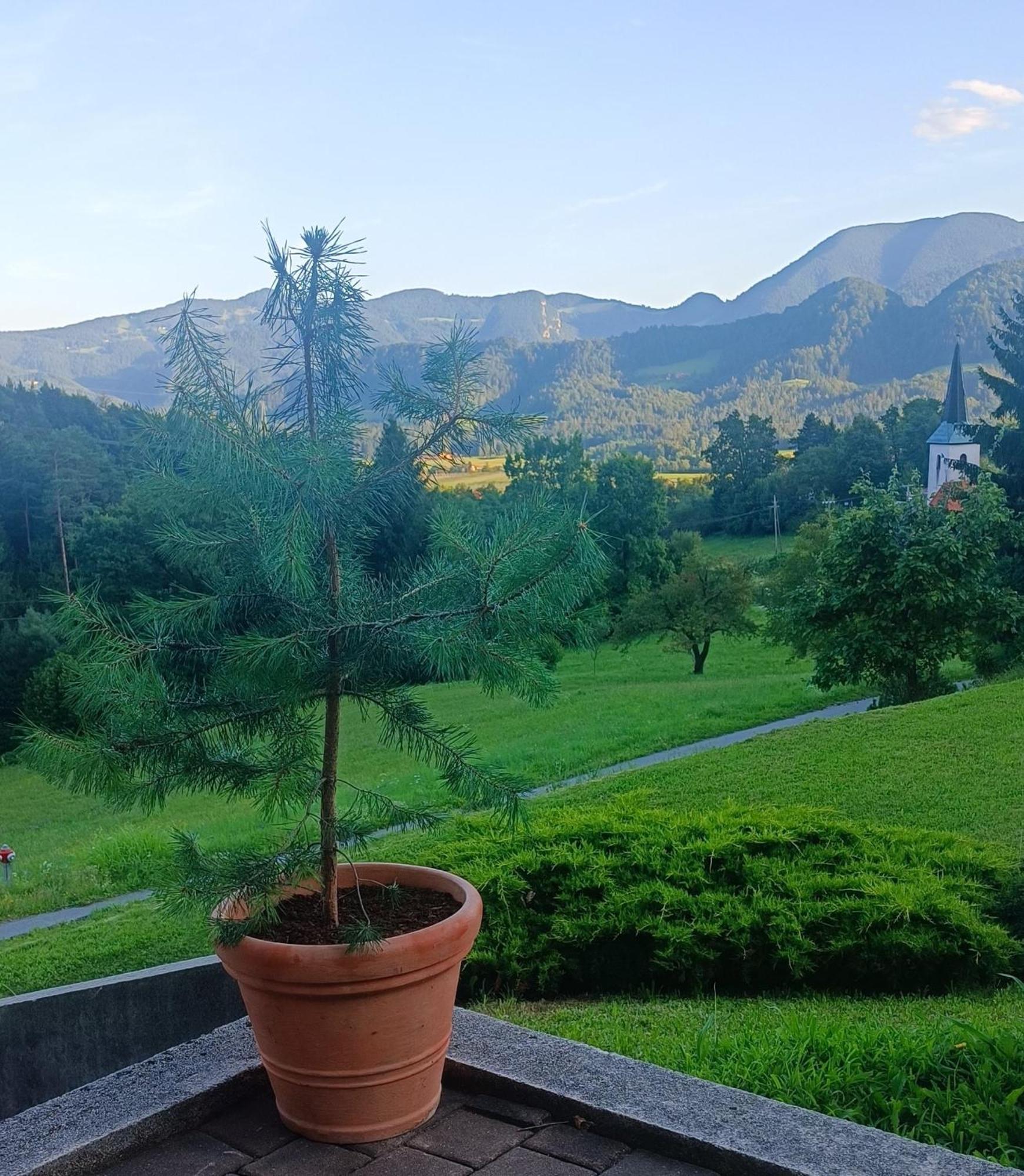 Apartmaji Borstner Vransko Екстериор снимка